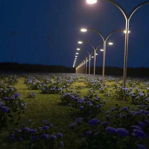 东南亚同性恋小鲜肉射精视频
